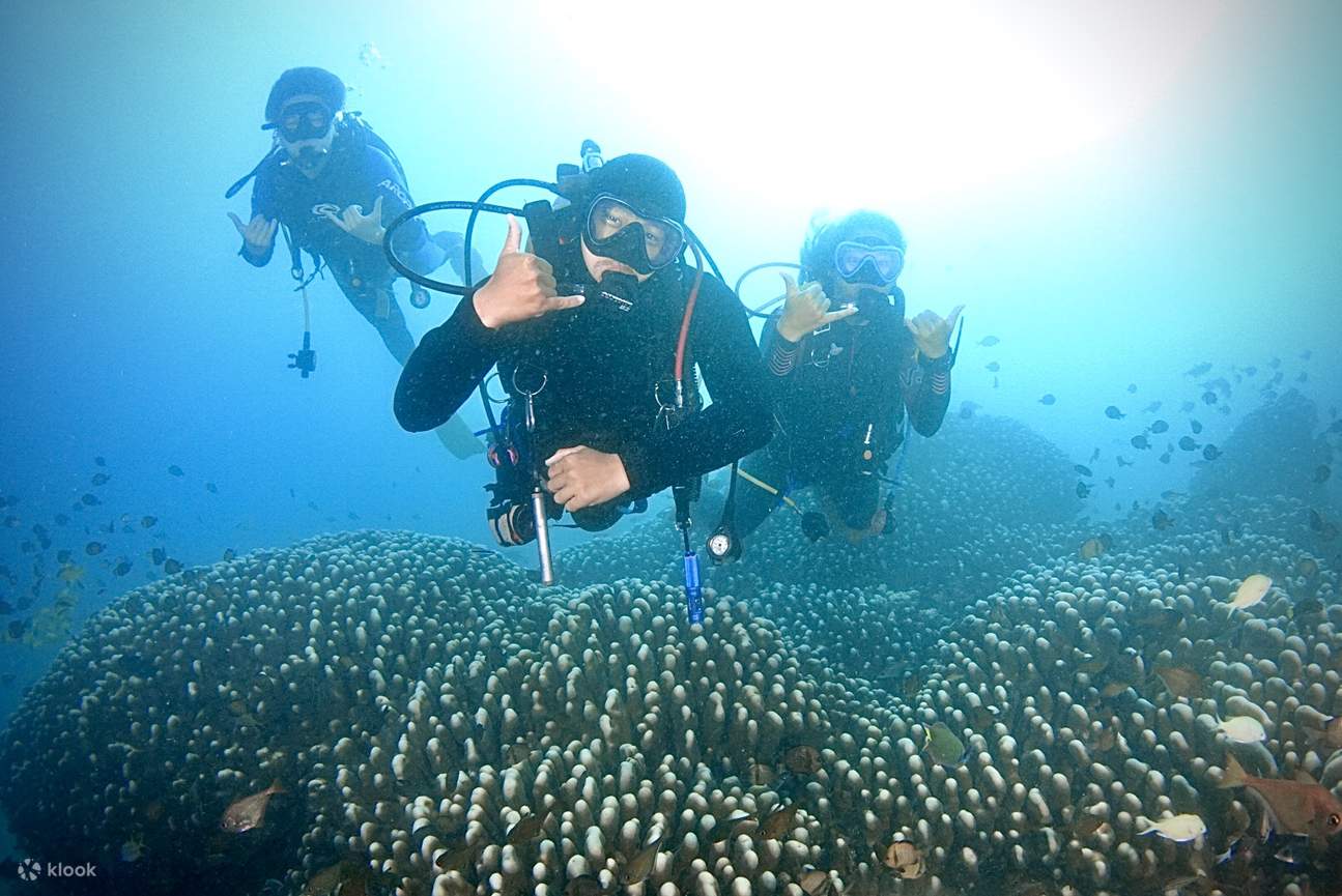 Penyelaman Deep Breath di Houbihu, Kenting, Pingtung
